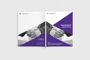 Lifevest A4 Insurance Brochure: A Practical Guide for Designers and Professionals
